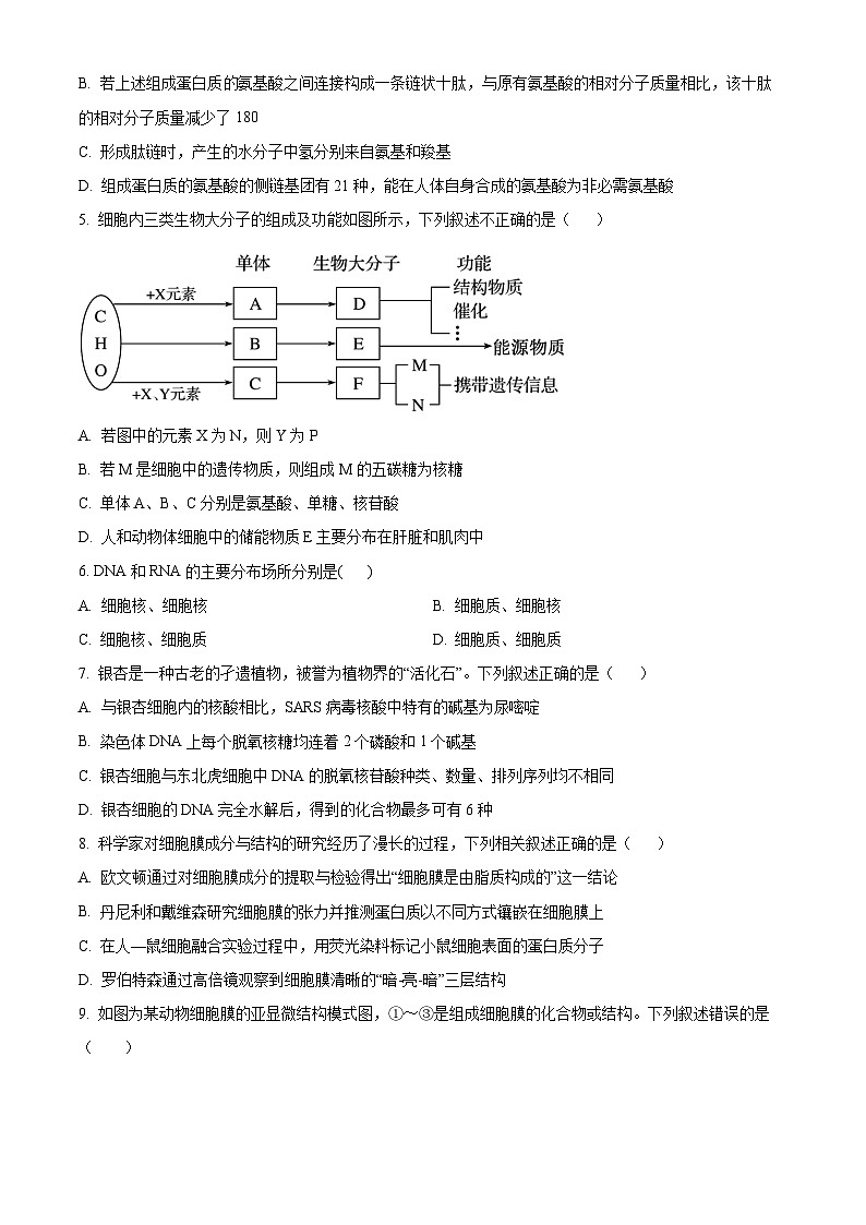 精品解析：黑龙江省大庆市让胡路区大庆市大庆中学2025-2026学年高一上学期1月期末生物试题（原卷版）第2页