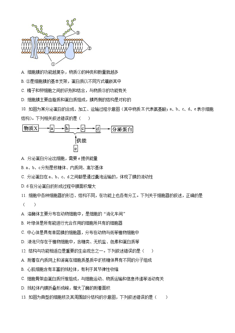 精品解析：黑龙江省大庆市让胡路区大庆市大庆中学2025-2026学年高一上学期1月期末生物试题（原卷版）第3页