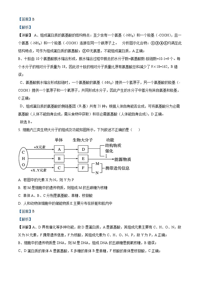 精品解析：黑龙江省大庆市让胡路区大庆市大庆中学2025-2026学年高一上学期1月期末生物试题（解析版）第3页