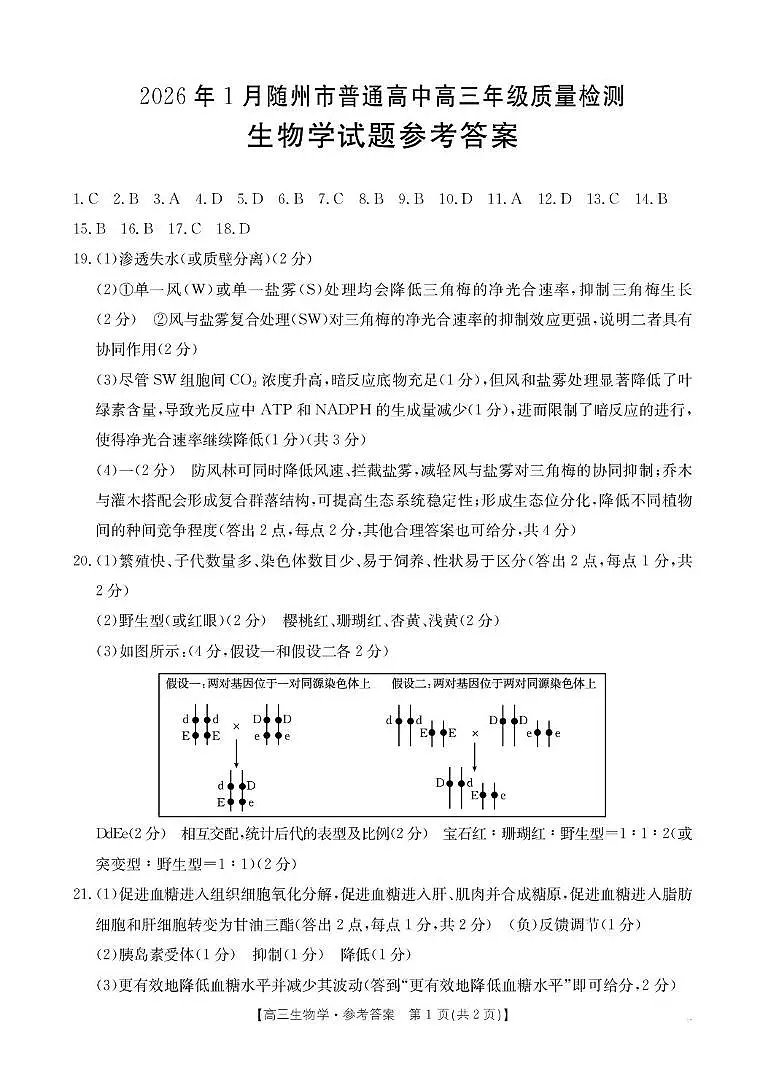 2025至2026学年2026年1月随州市普通高中期末高三年级质量检测生物学试题 高三生物答案第1页