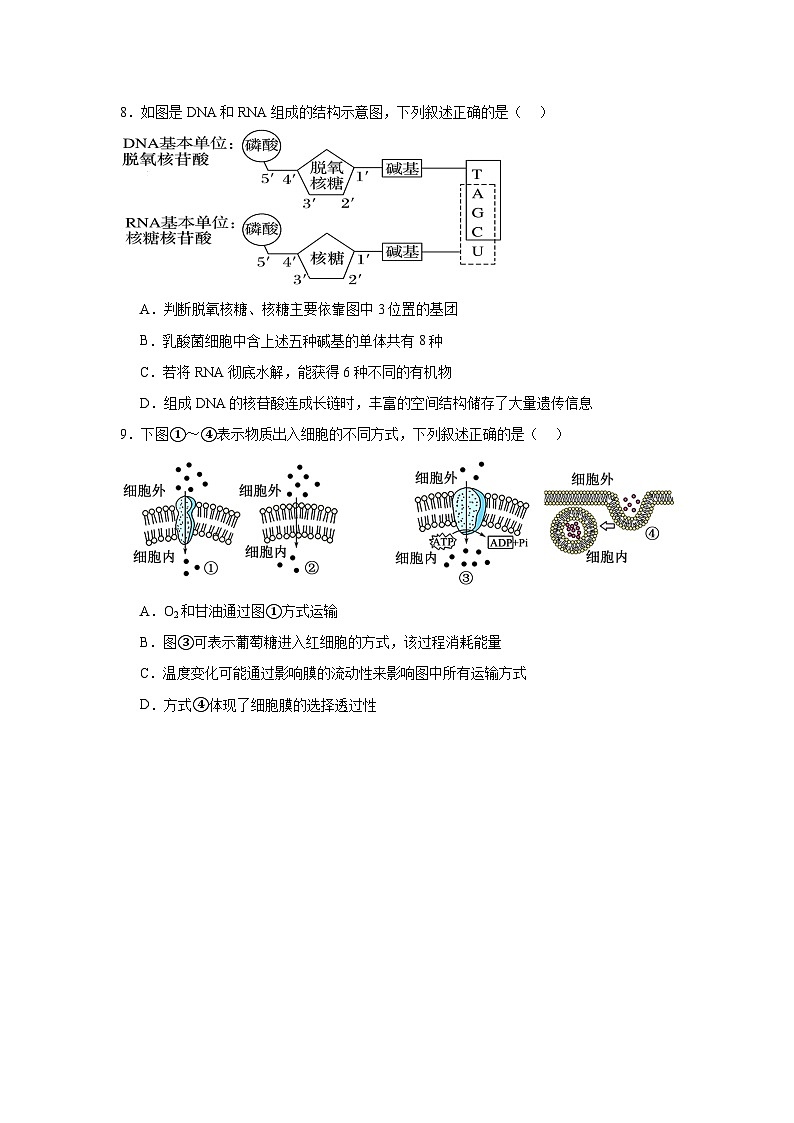 湖南省岳阳市汨罗市第二中学2025-2026学年高一上学期12月月考生物试题（含答案）第3页