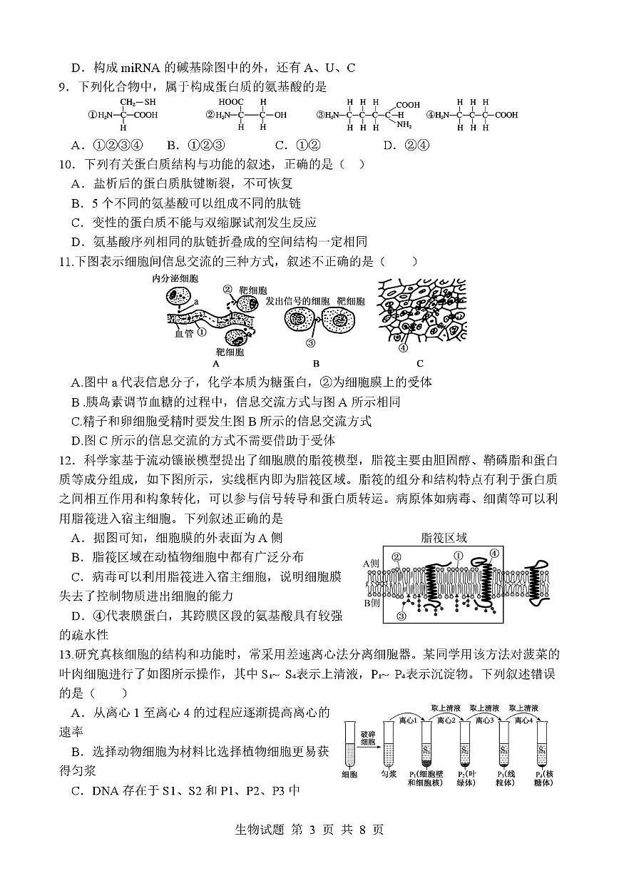 山东省枣庄市市中区枣庄市第三中学2025-2026学年高一上学期1月月考生物试题 第3页
