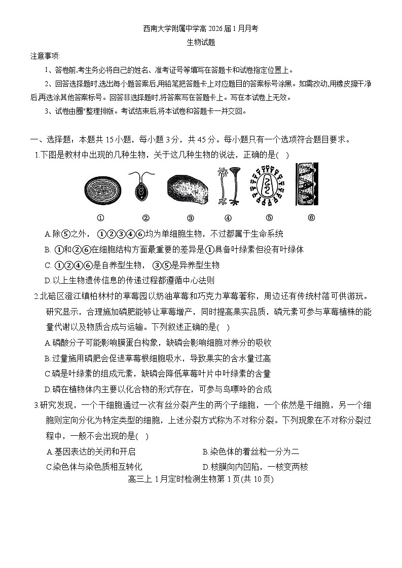 重庆市西南大学附属中学2025-2026学年高三上学期1月月考生物试题第1页