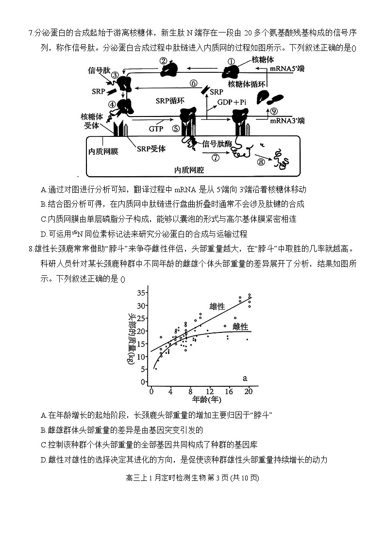 重庆市西南大学附属中学2025-2026学年高三上学期1月月考生物试题第3页
