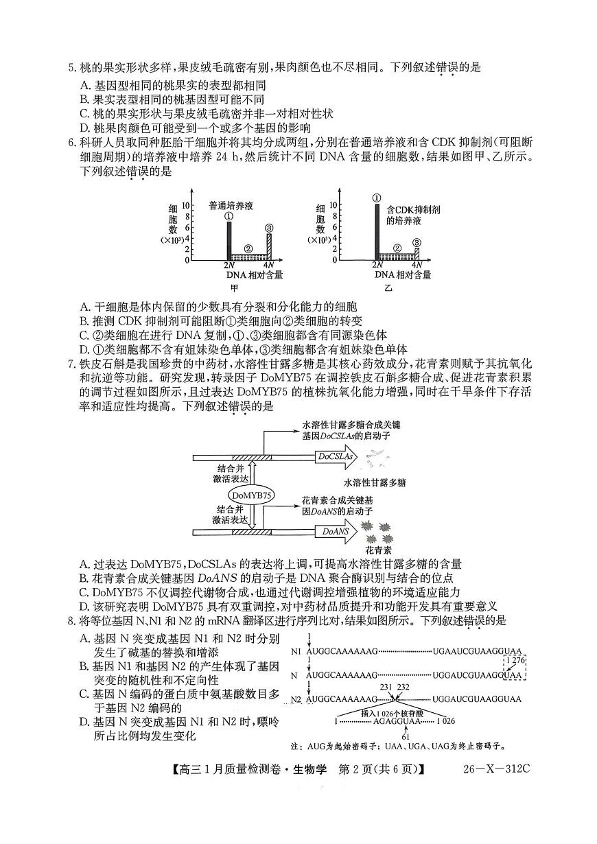 生物试卷-卓越联盟2025-2026学年高三1月质量检测（26-X-312C）第2页