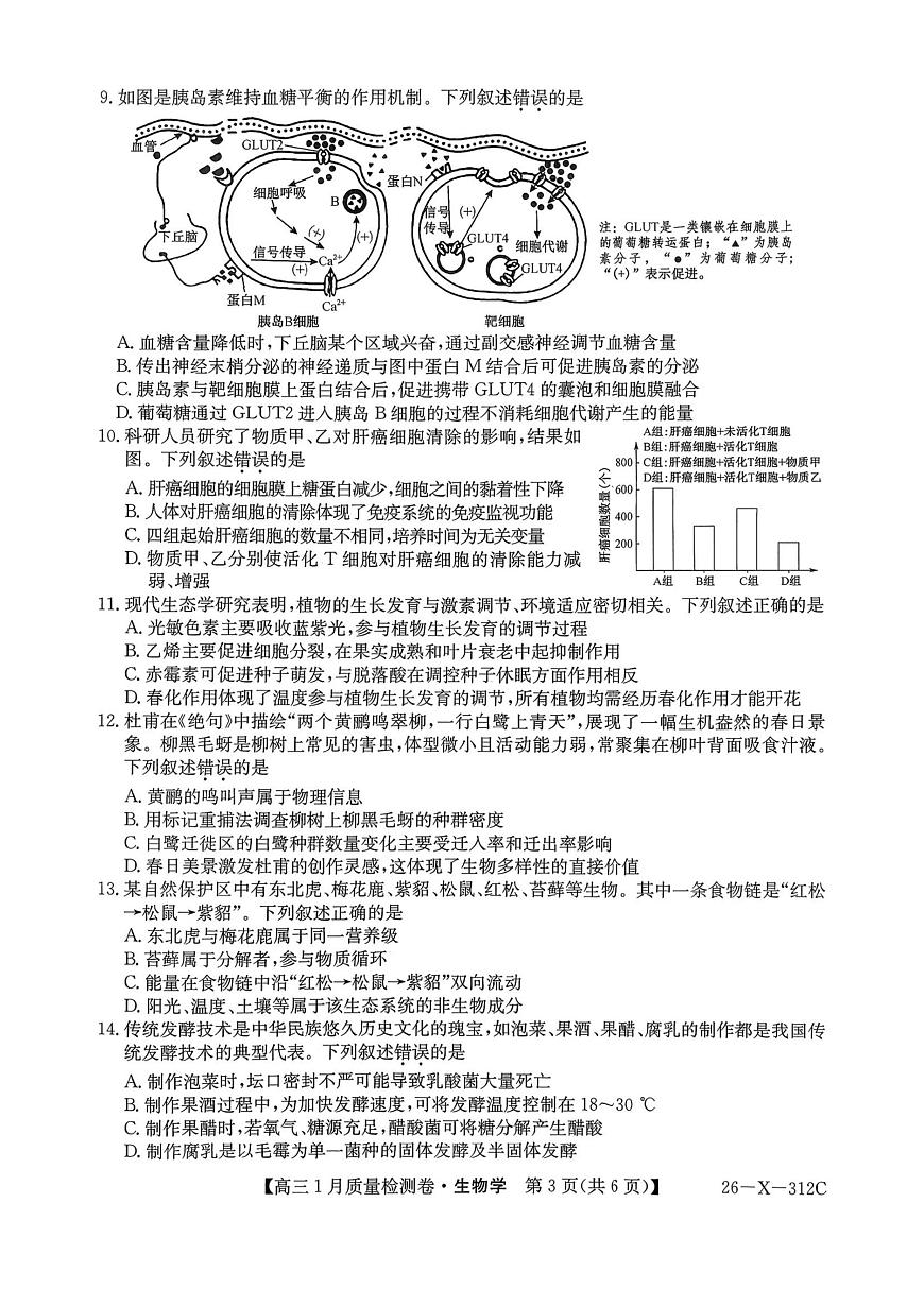 生物试卷-卓越联盟2025-2026学年高三1月质量检测（26-X-312C）第3页