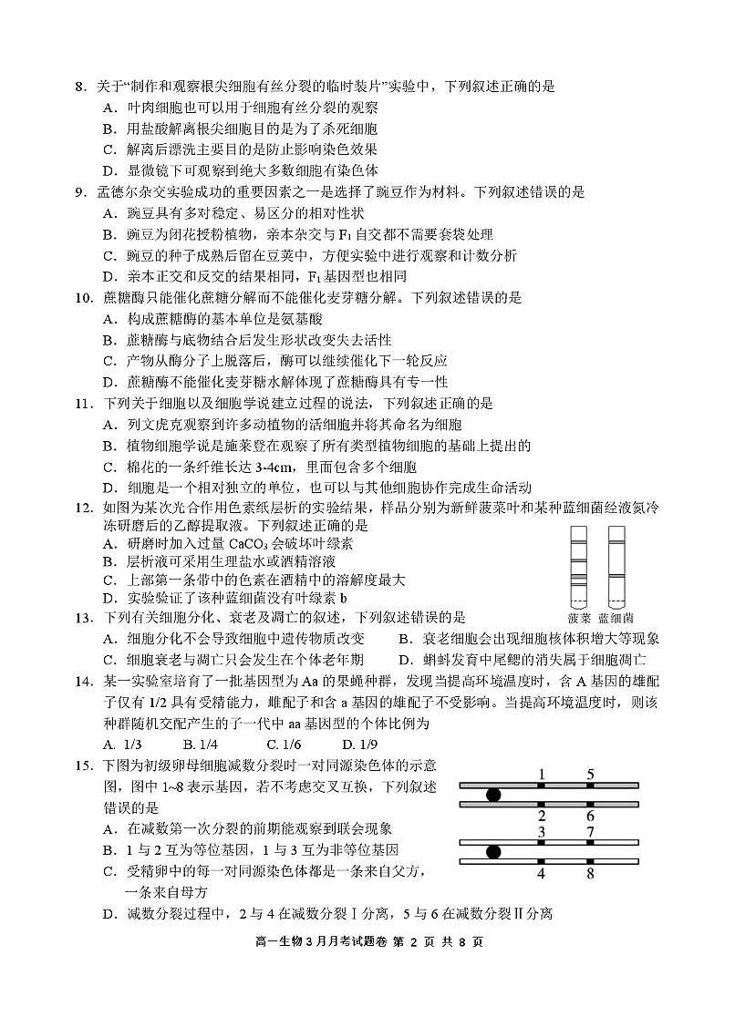 浙江省四校联盟2024-2025学年高一下学期3月联考生物试卷（无答案）第2页