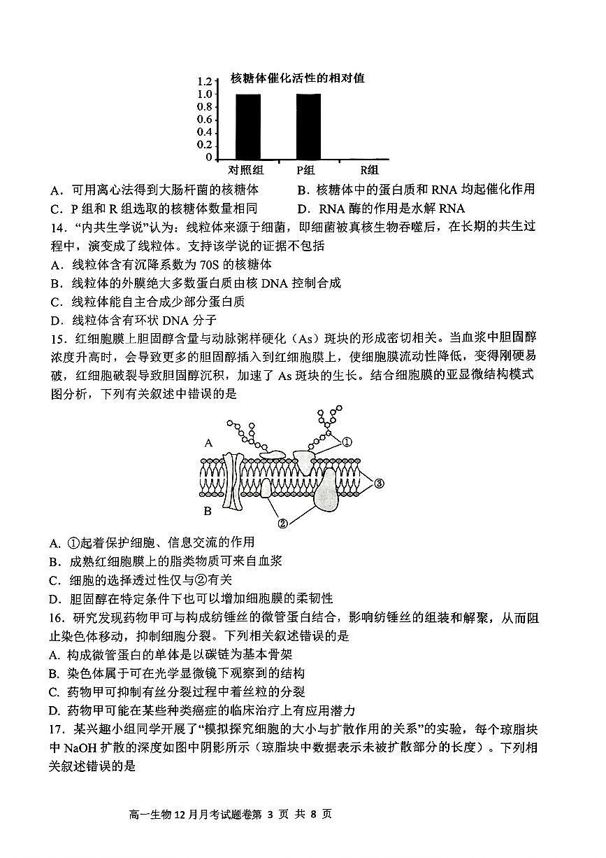 浙江省四校2024-2025学年高一上学期12月月考生物试题（无答案）第3页