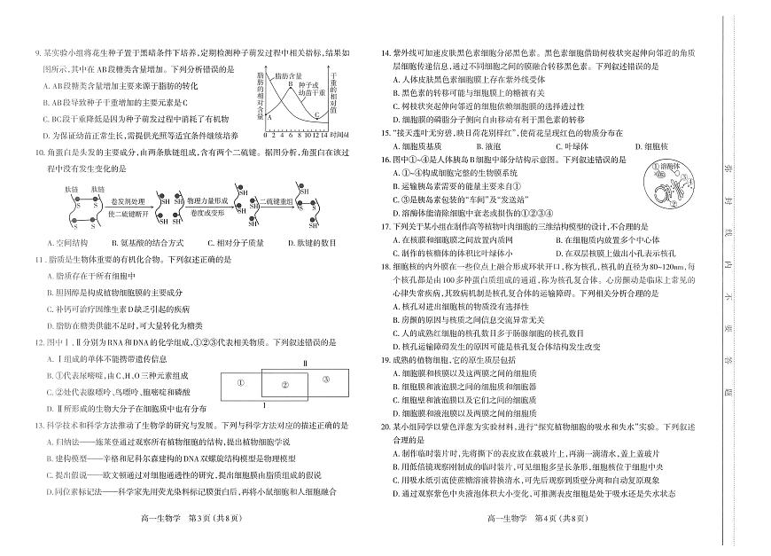 山西省太原市2024-2025学年高一上学期11月期中考试生物试题第2页