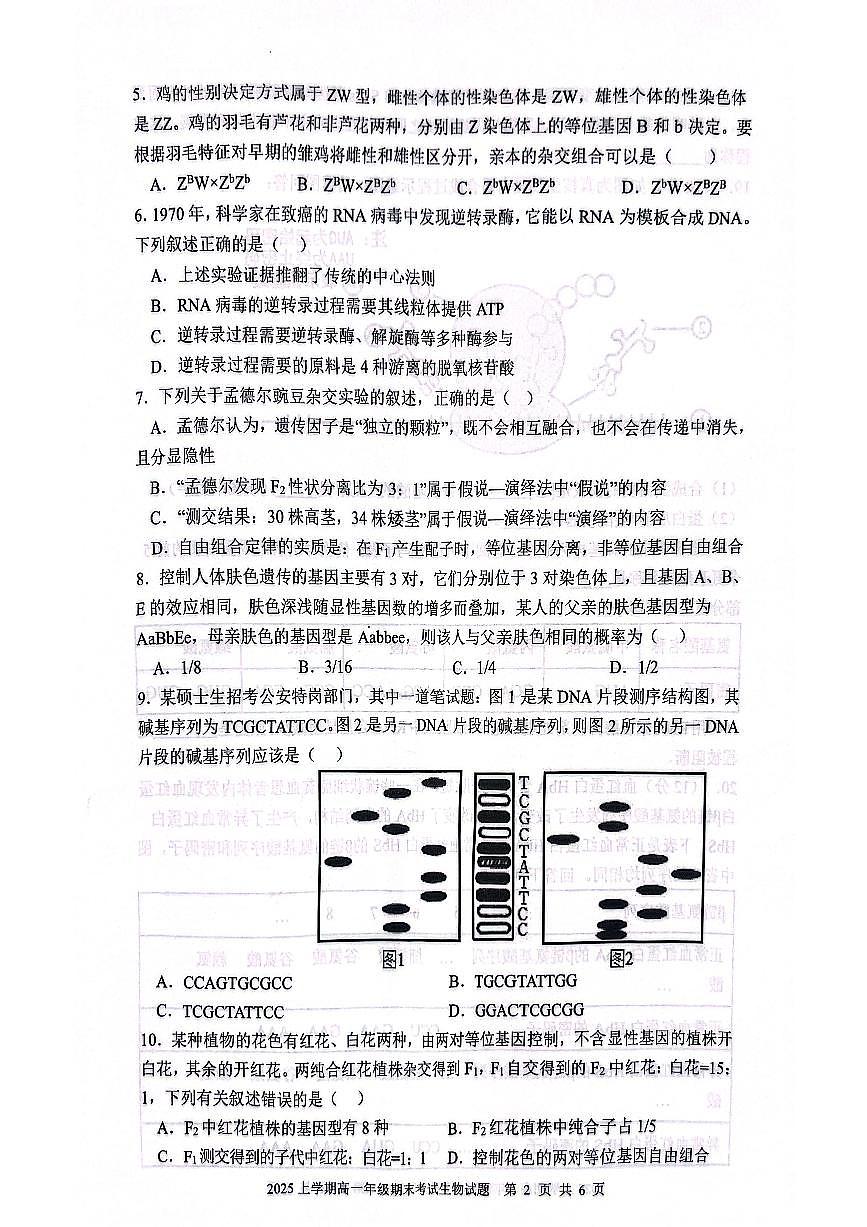 湖南省邵阳市邵东市联考2024-2025学年高一下学期7月期末生物试卷第2页