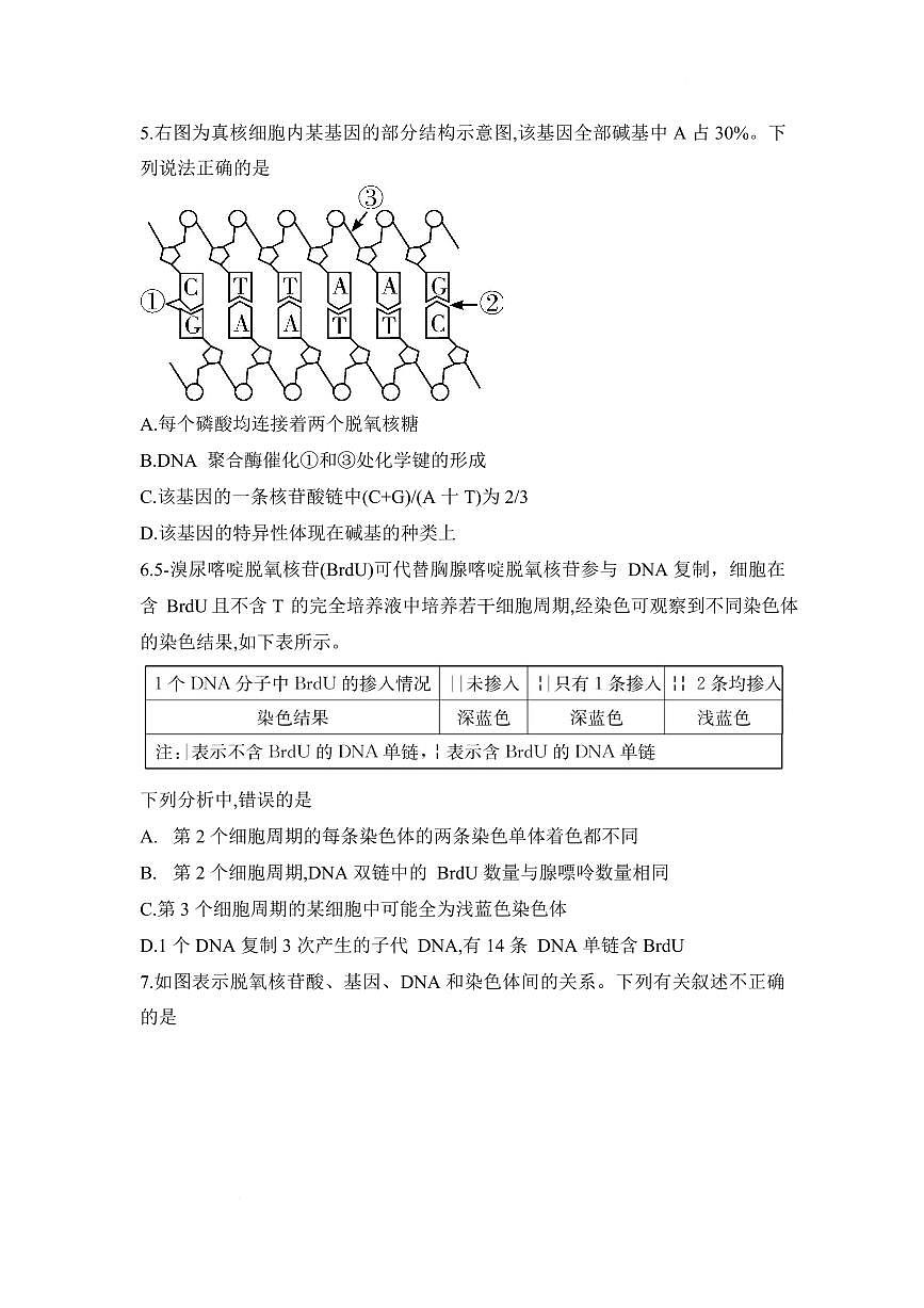 湖南省长沙市第一中学2024-2025学年高一下学期期中考试生物试题第2页