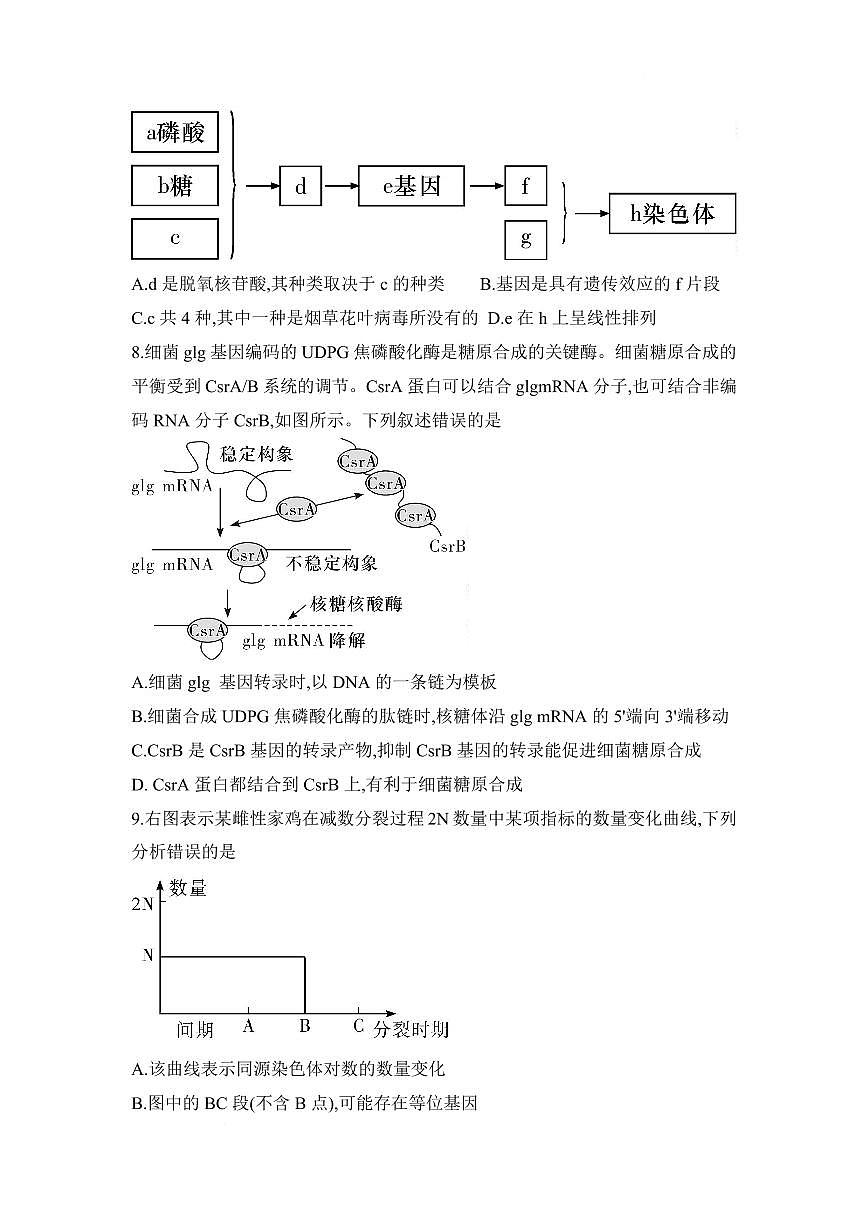 湖南省长沙市第一中学2024-2025学年高一下学期期中考试生物试题第3页