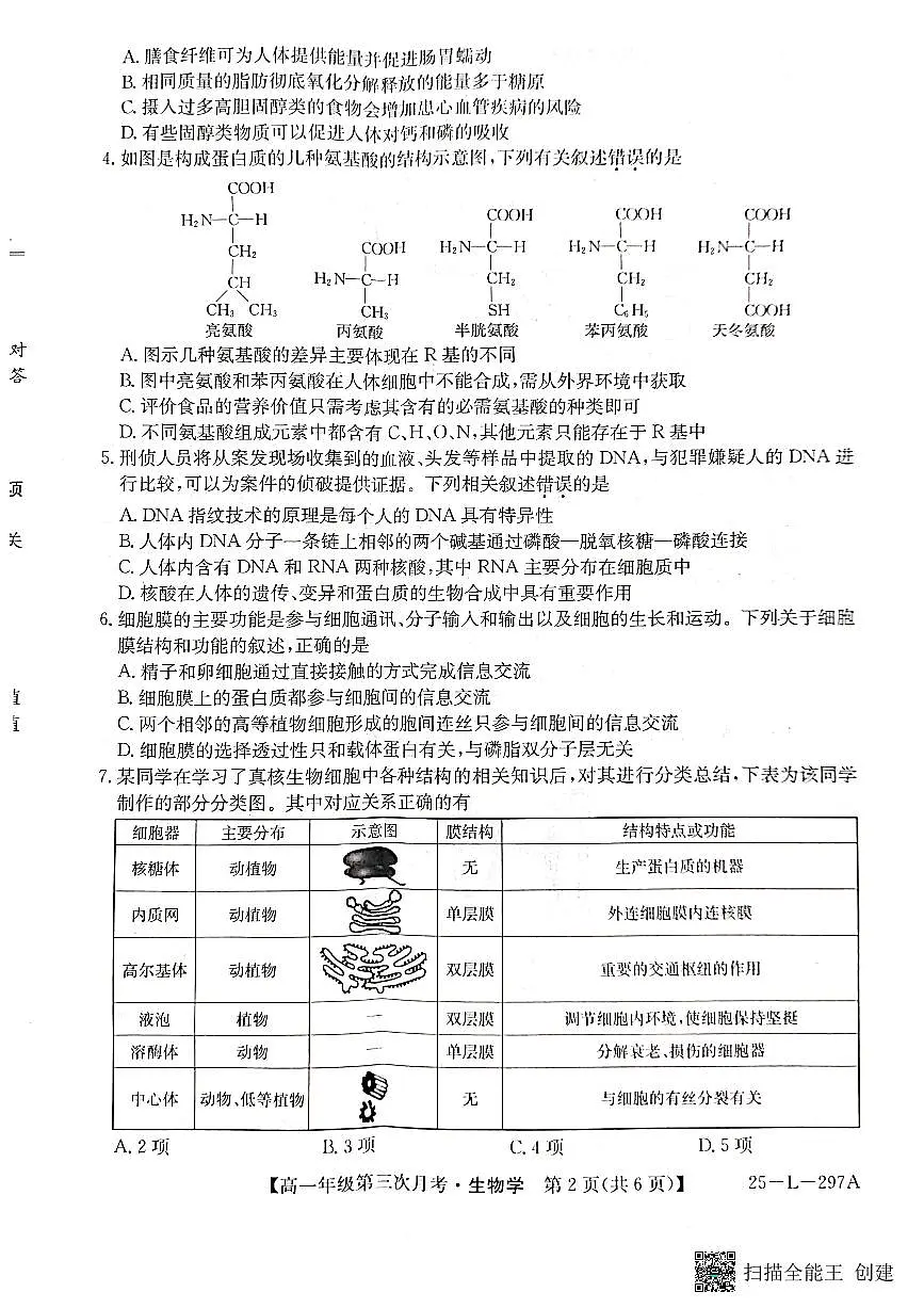 河北省联考2024-2025学年高一上学期第三次月考11月生物试题第2页