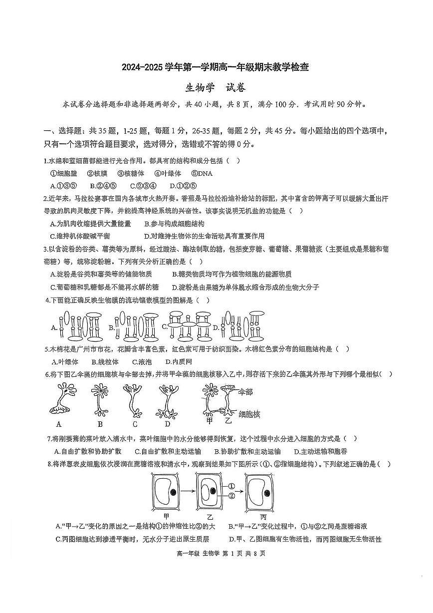 广东省华南师范大学附属中学2024-2025学年高一上学期期末生物试卷第1页