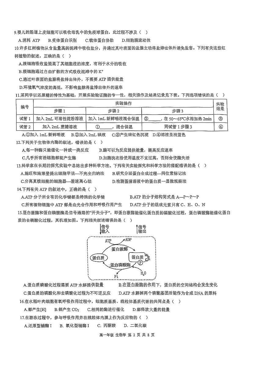 广东省华南师范大学附属中学2024-2025学年高一上学期期末生物试卷第2页