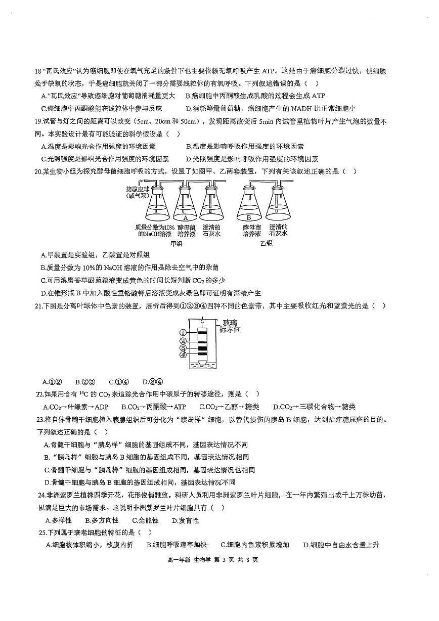 广东省华南师范大学附属中学2024-2025学年高一上学期期末生物试卷第3页