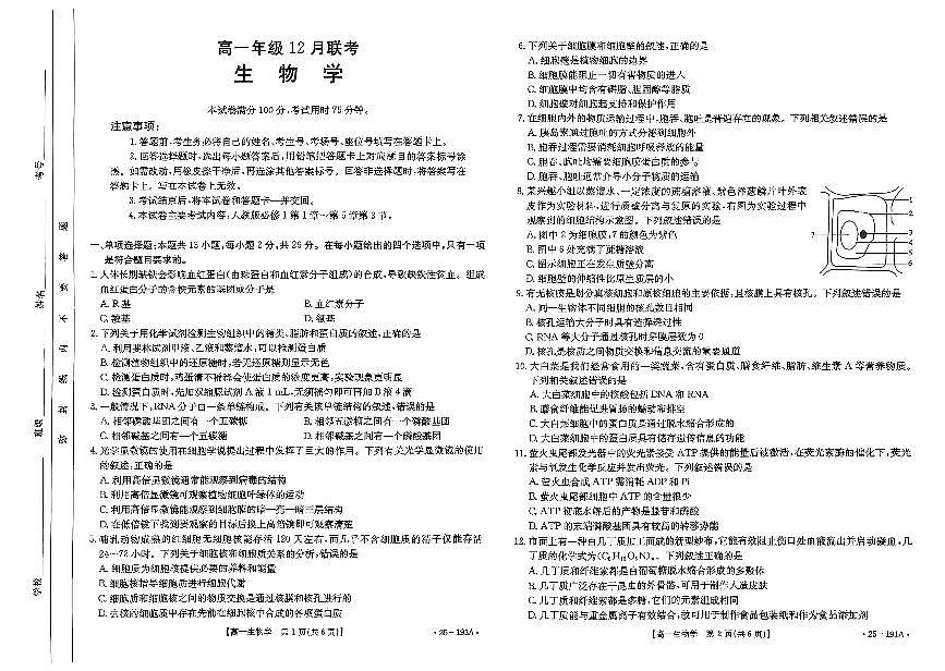 河北省百万联考2024-2025学年高一上学期12月联考生物试题第1页