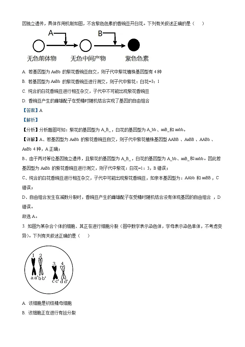 精品解析：河南省南阳市南阳六校联考2023-2024学年高一下学期6月期末生物试题（解析版）第2页