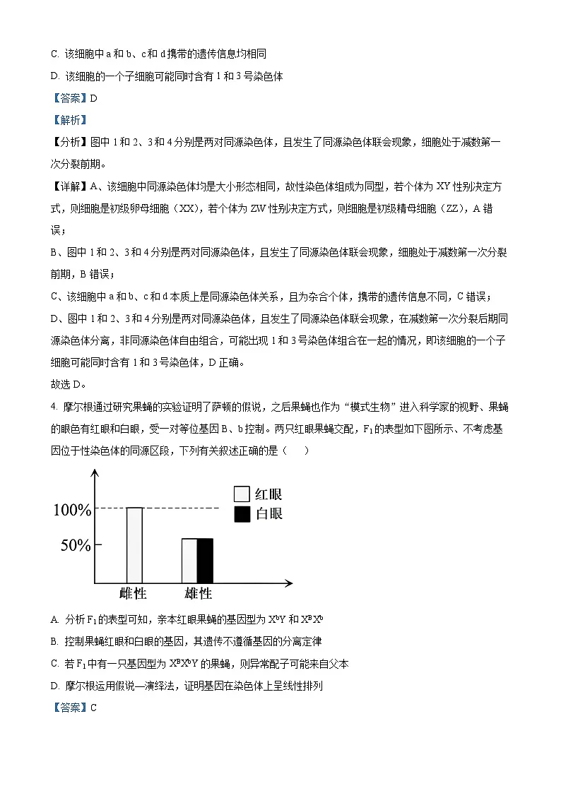 精品解析：河南省南阳市南阳六校联考2023-2024学年高一下学期6月期末生物试题（解析版）第3页
