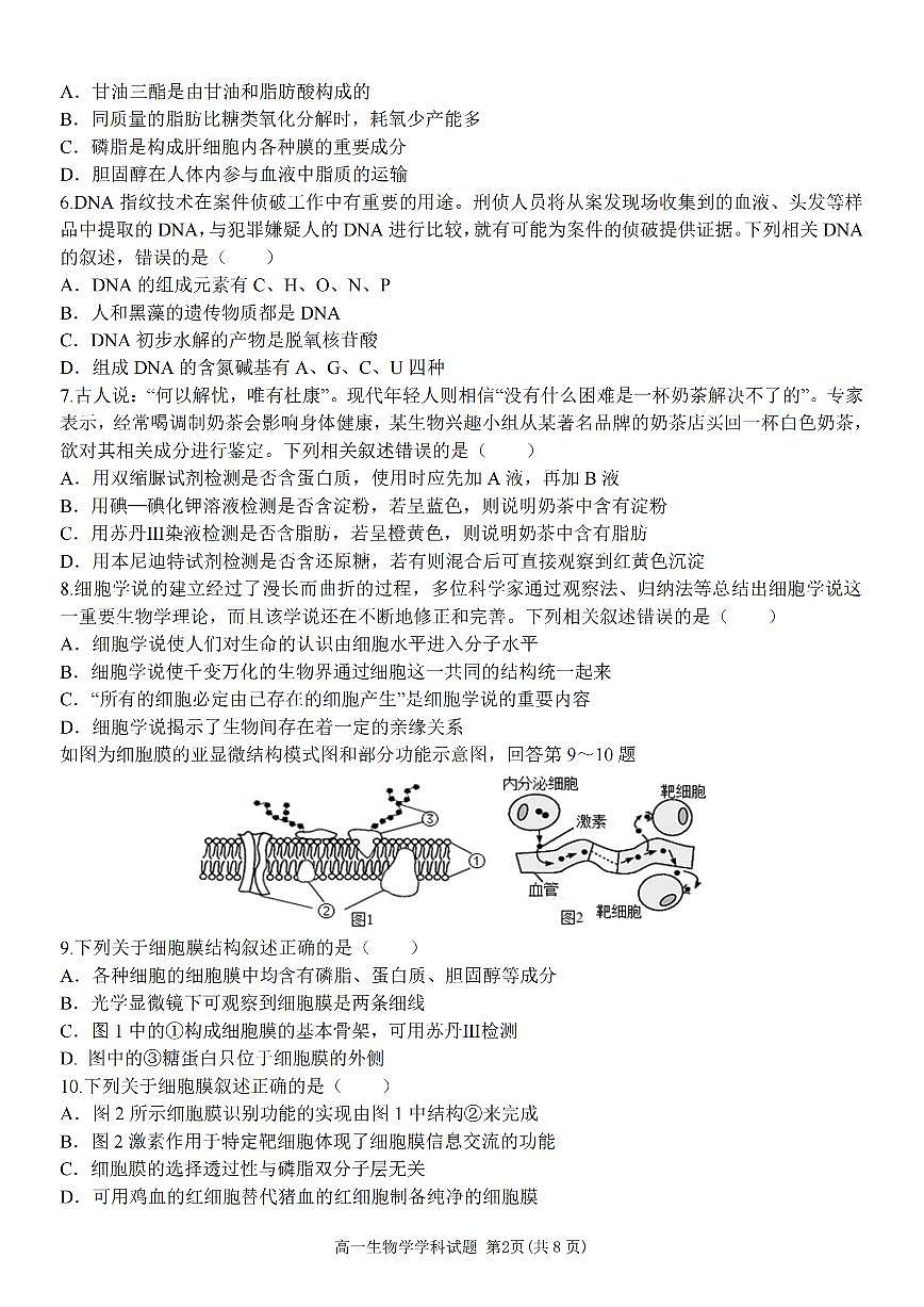 2024学年高一年级上学期嘉兴八校联盟期中联考生物试卷（无答案）第2页