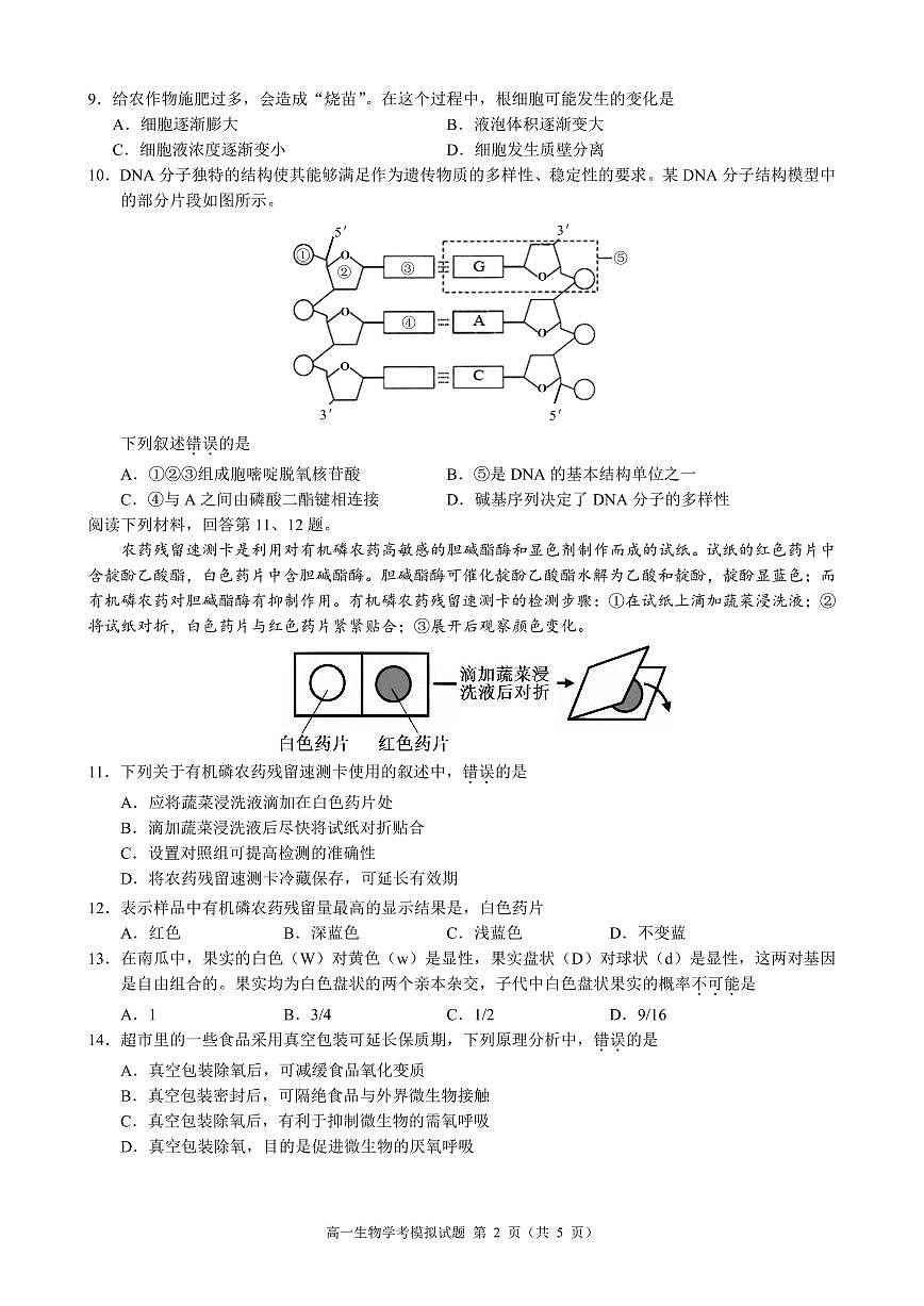 2025年浙江省9+1高中联盟高一下学期学业水平模拟考试生物试题（无答案）第2页