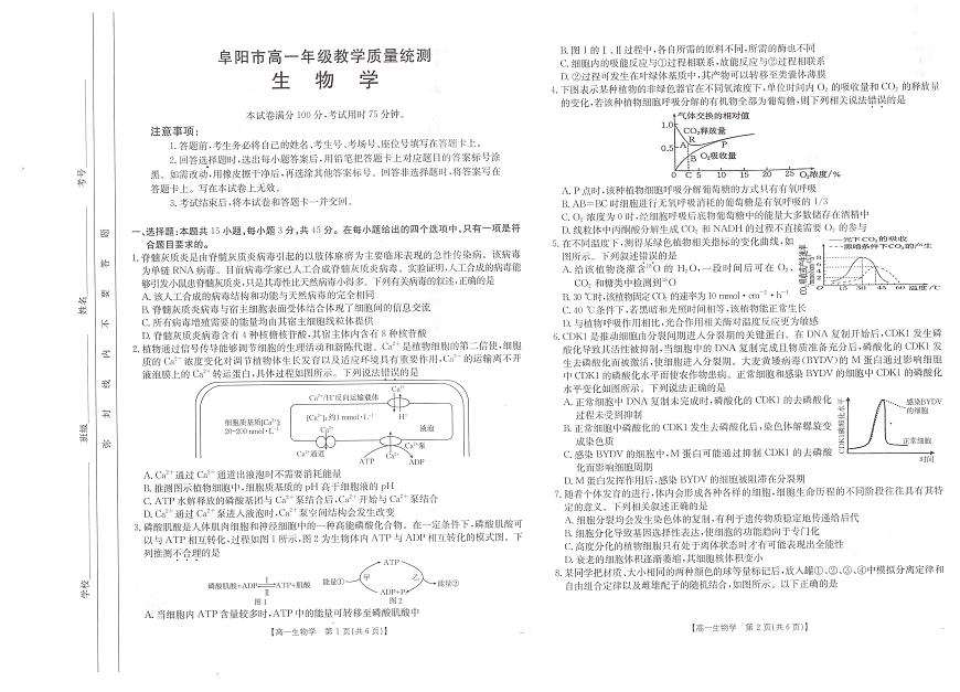 安徽省阜阳市2024-2025学年高一下学期7月期末生物试题（无答案）第1页