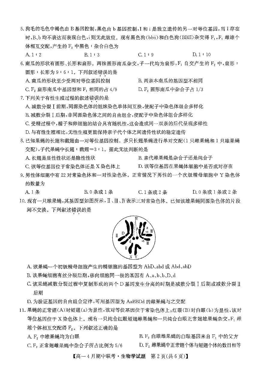 河北省保定市六校联盟2024-2025学年高一下学期4月期中考试生物试卷（无答案）第2页