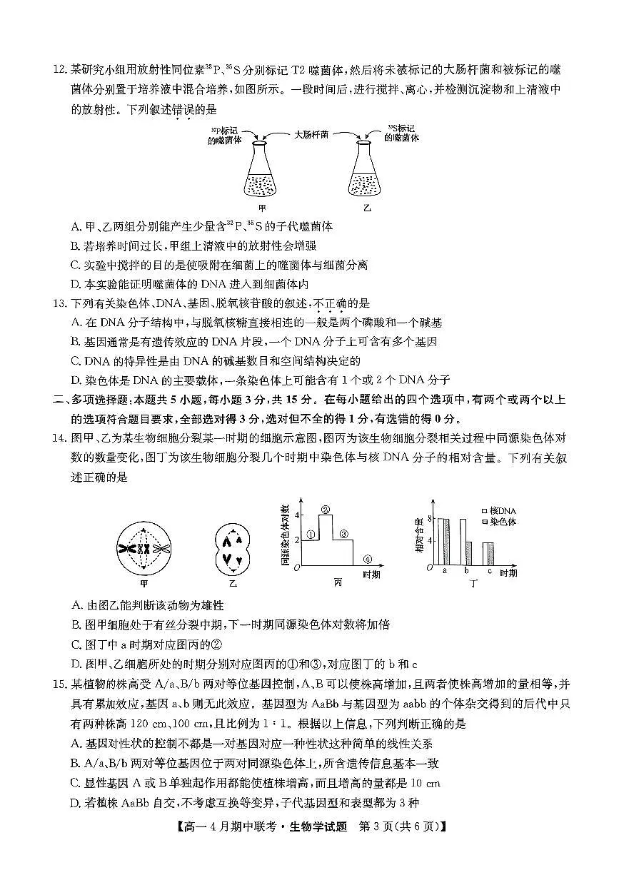 河北省保定市六校联盟2024-2025学年高一下学期4月期中考试生物试卷（无答案）第3页