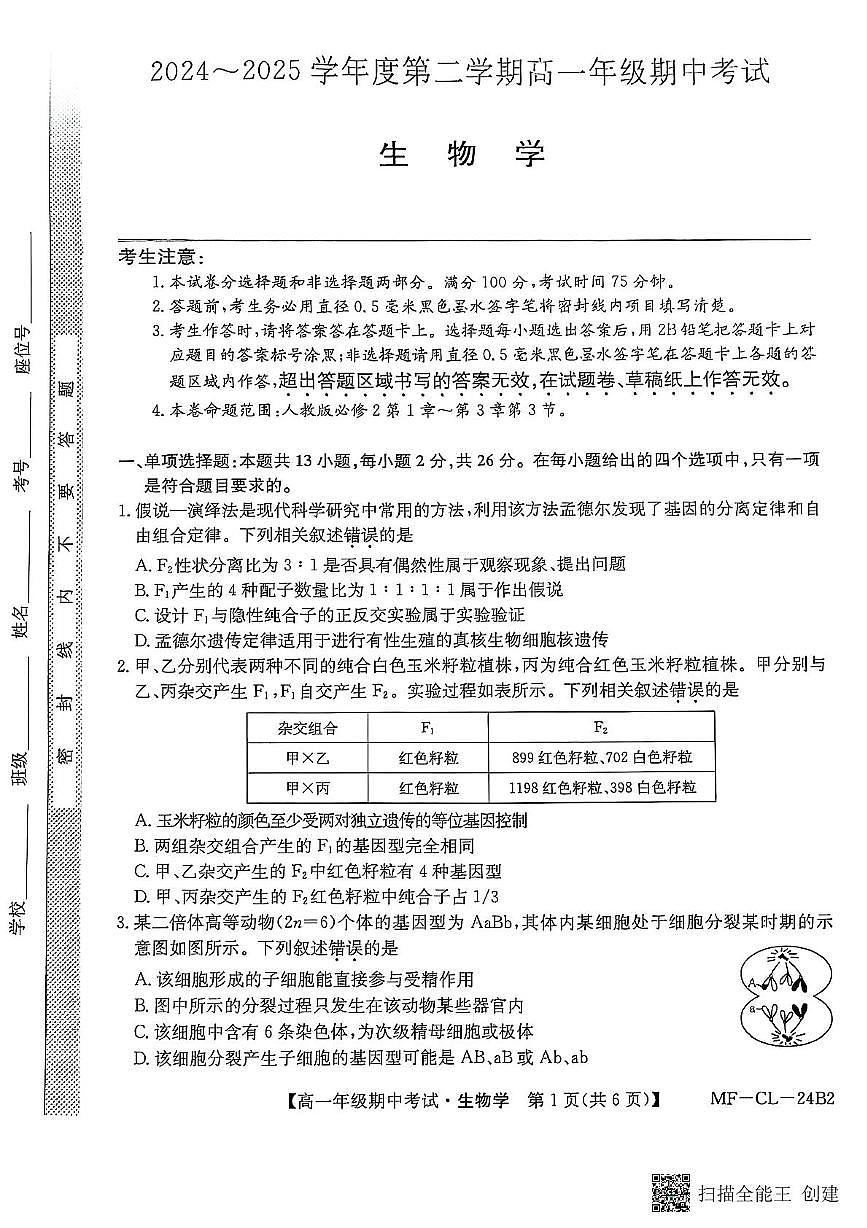 河北省沧州市四县联考2024-2025学年高一下学期4月期中考试生物试卷（无答案）第1页