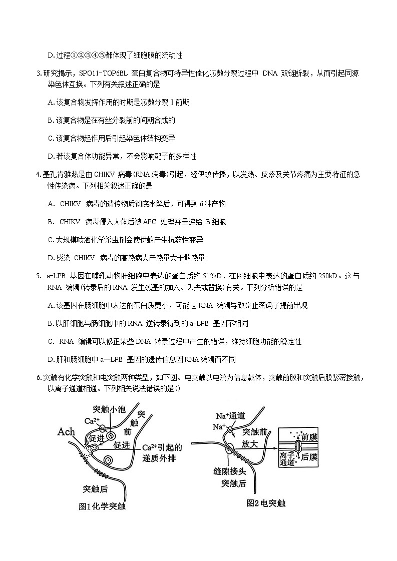 广东省惠州市2026届高三上学期高考二模生物学试题（含答案）第2页