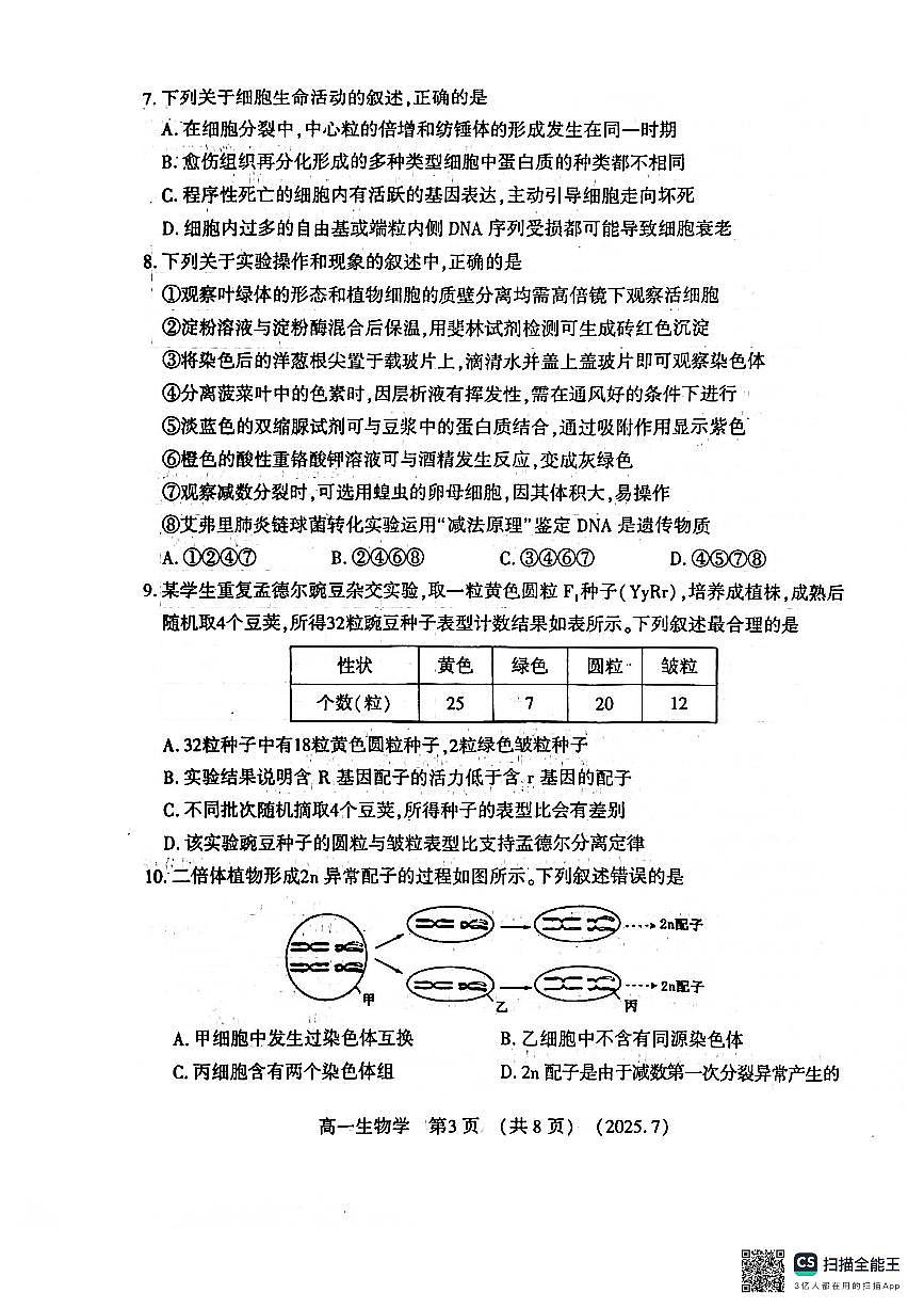 河南洛阳市2024-2025高一年级下学期期末考试生物试卷（无答案）第3页