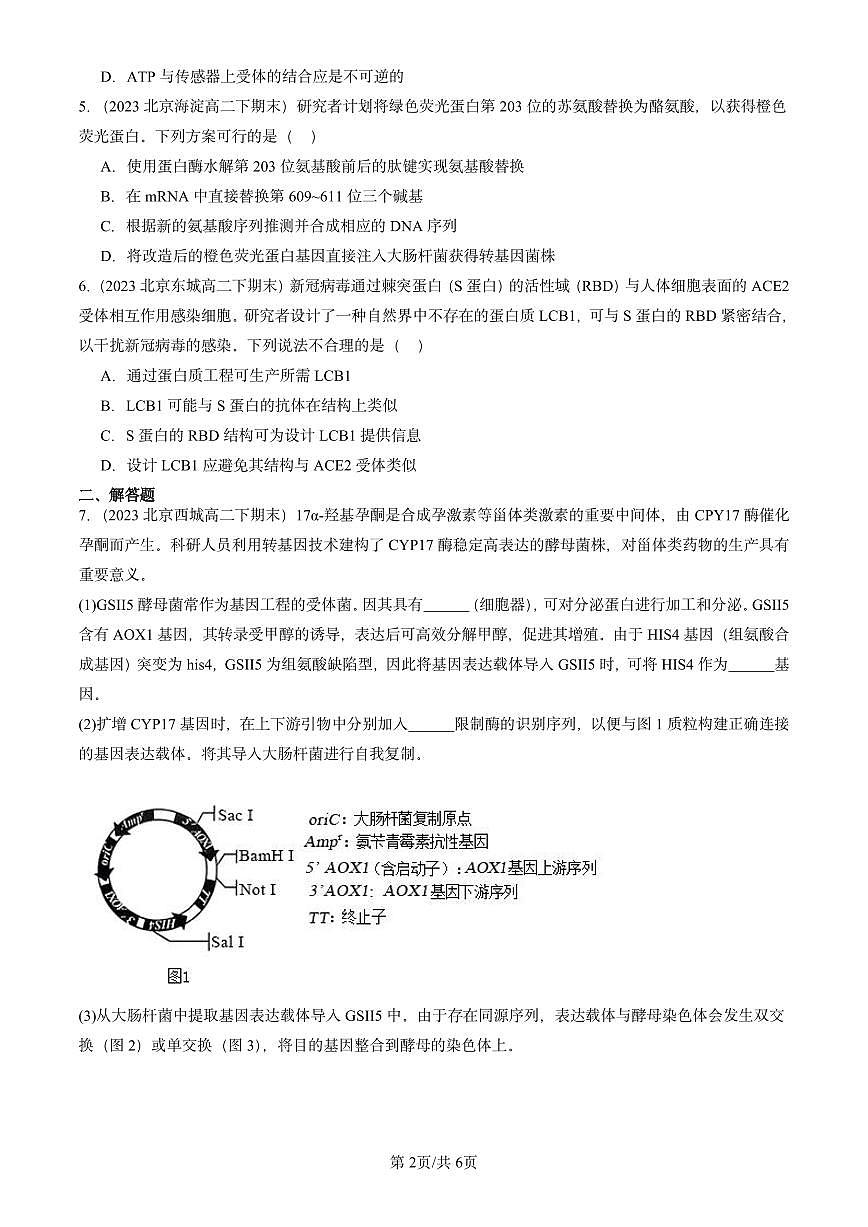 2023-2025北京重点校高二（下）期末生物汇编：蛋白质工程的原理和应用第2页