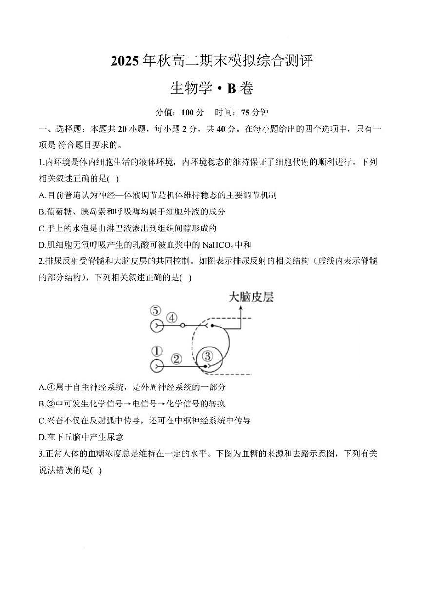 2025-2026学年湖南省衡阳市衡阳县第四中学高二上学期期末模拟综合测评生物（B）（含解析）试卷第1页