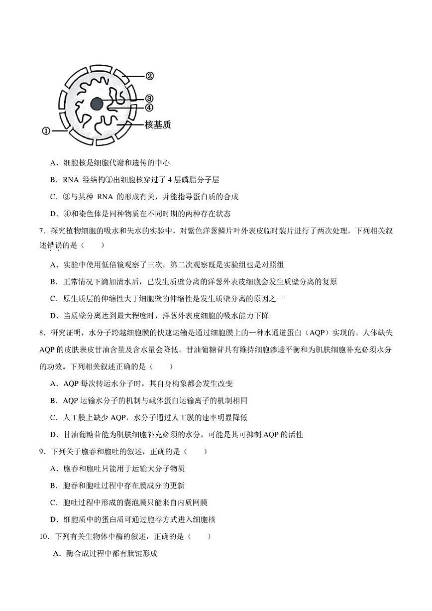 2025-2026学年甘肃省白银市靖远县第一中学高一上学期期末生物试卷（含答案）第2页