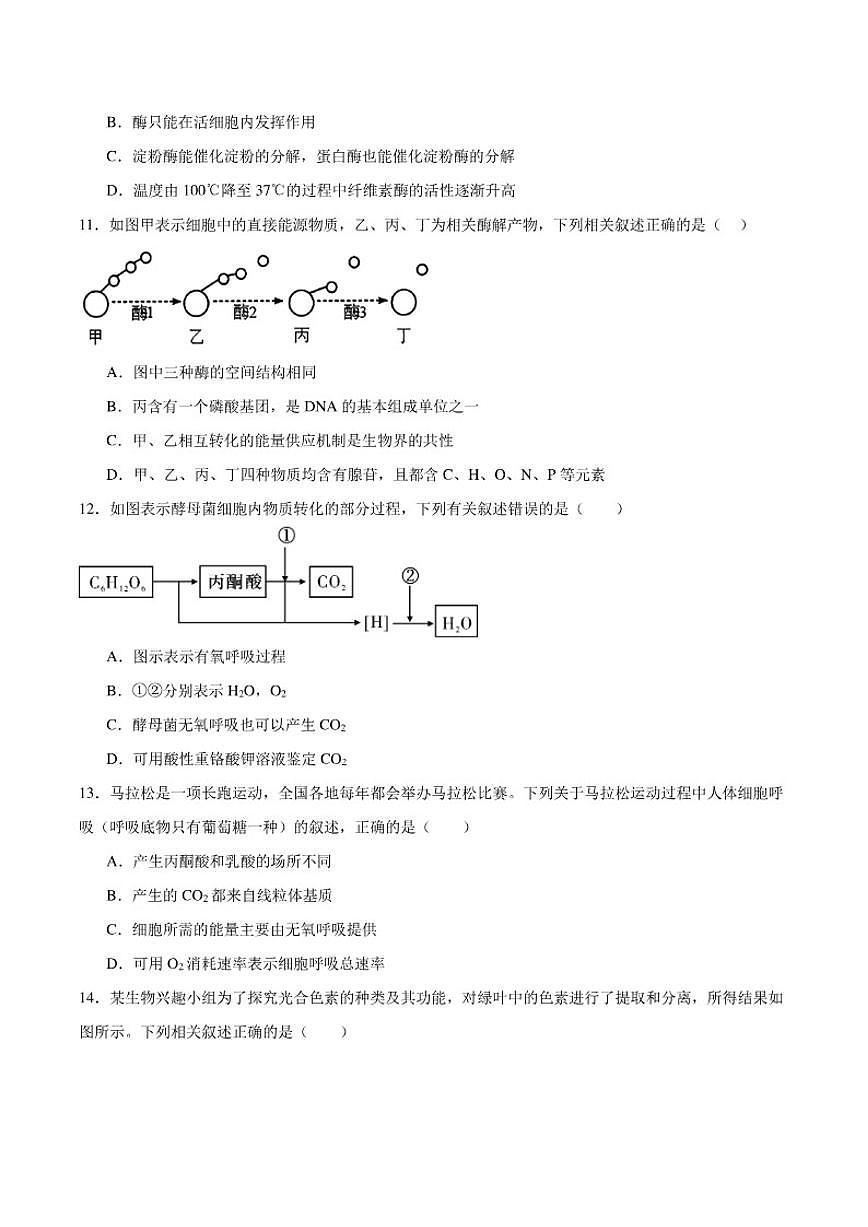 2025-2026学年甘肃省白银市靖远县第一中学高一上学期期末生物试卷（含答案）第3页