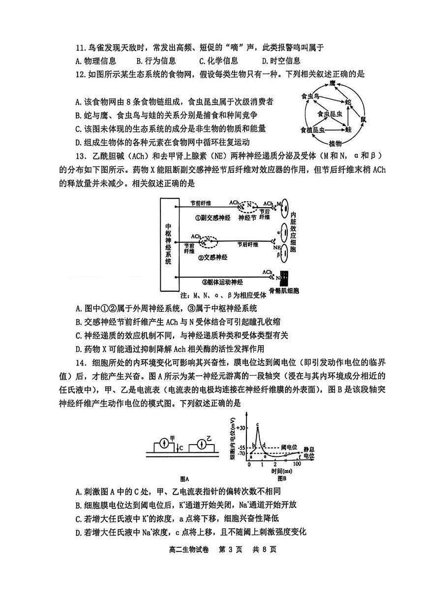 2025-2026学年辽宁省锦州市高二上学期期末生物试卷（含答案）第3页