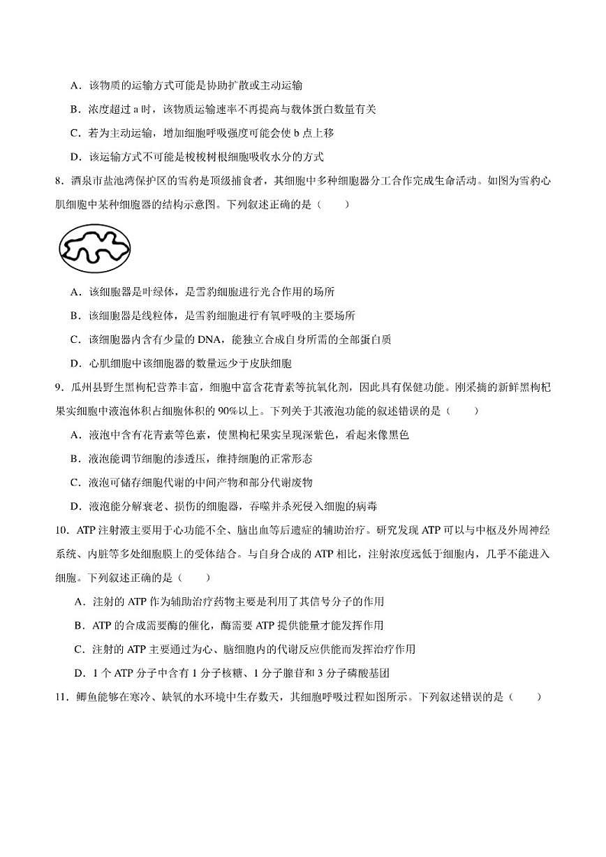 2025-2026学年甘肃省酒泉市普通高中高一上学期1月期末考试生物试卷（含答案）第3页