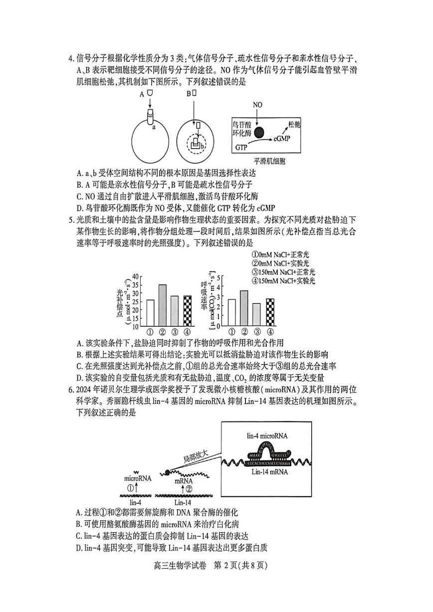 湖北省荆州市2026届高三上学期元月质量检测生物（含解析）试卷第2页