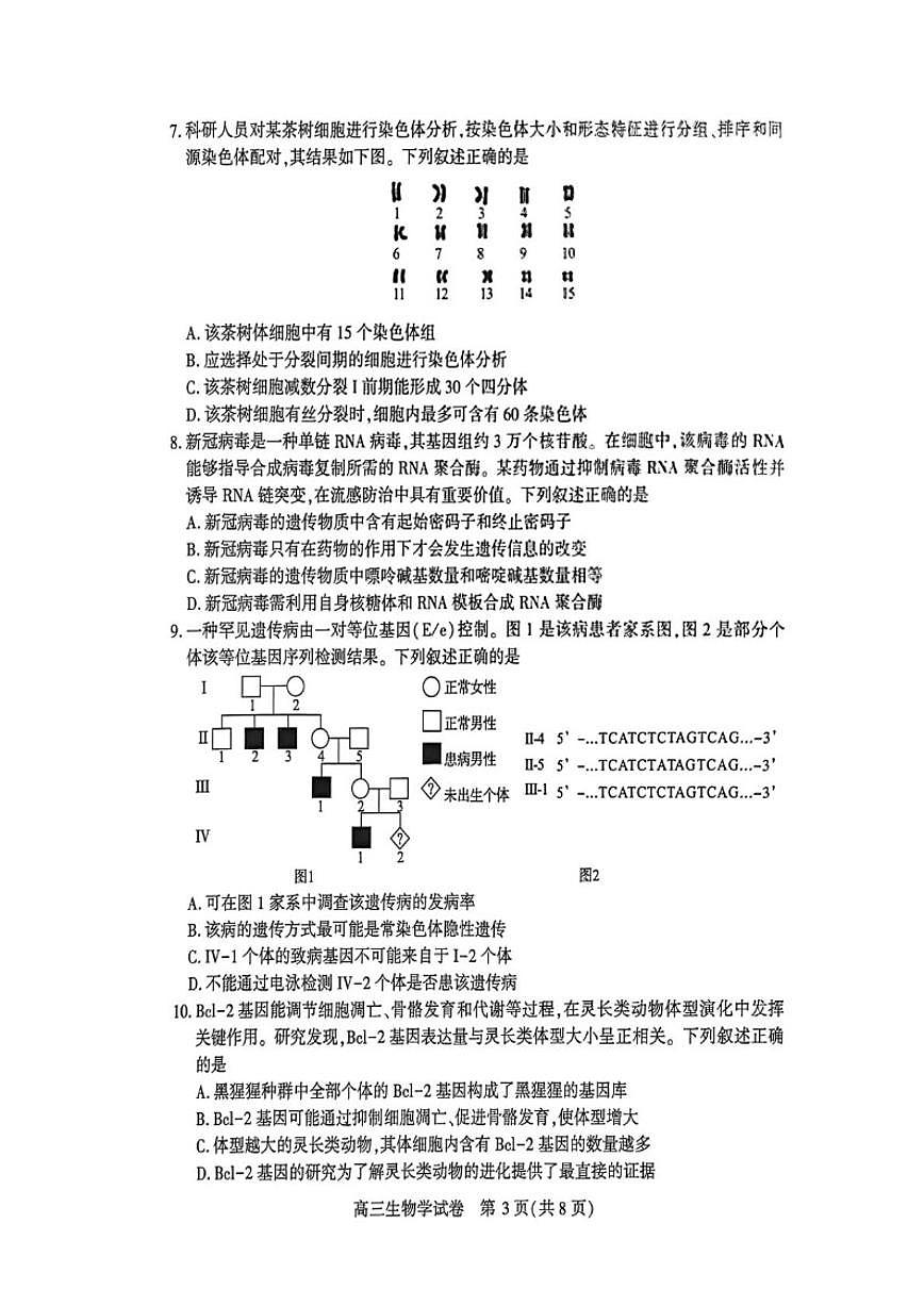 湖北省荆州市2026届高三上学期元月质量检测生物（含解析）试卷第3页