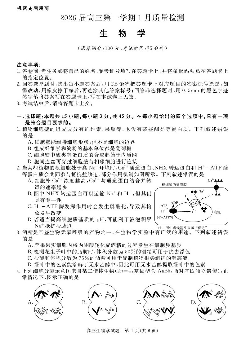 安徽省华师联盟2025-2026学年高三上学期1月质量检测生物试卷第1页