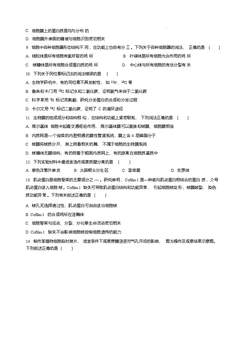 黑龙江省哈尔滨市第三中学校2025-2026学年高一上学期学期末考试生物试卷第2页