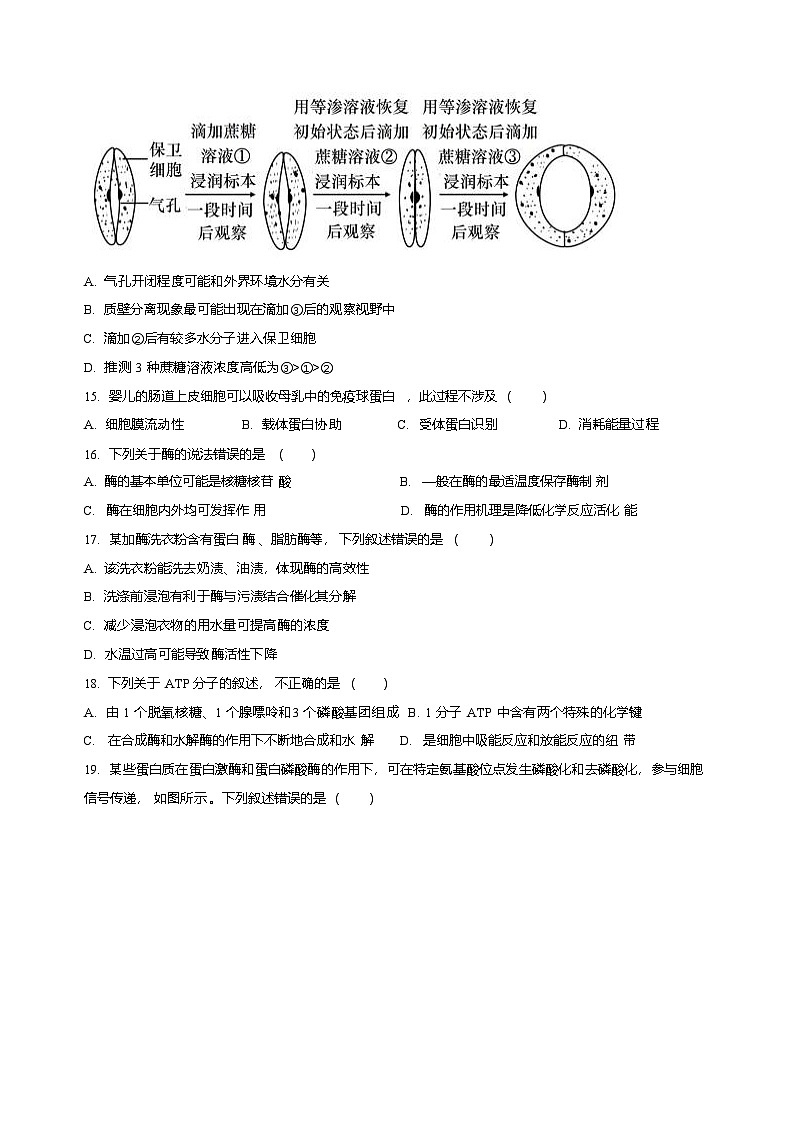 黑龙江省哈尔滨市第三中学校2025-2026学年高一上学期学期末考试生物试卷第3页