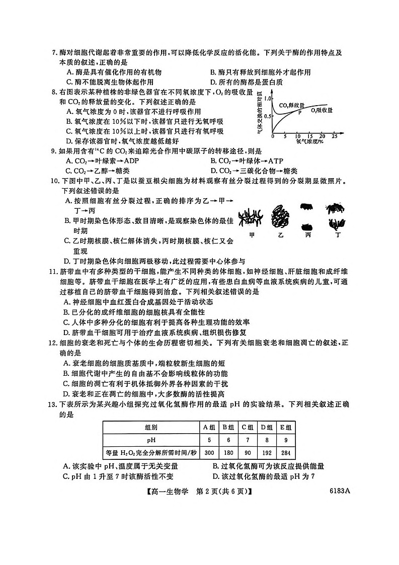 吉林省吉林市外五县各高中2025-2026学年高一上学期1月期末考试生物试卷第2页