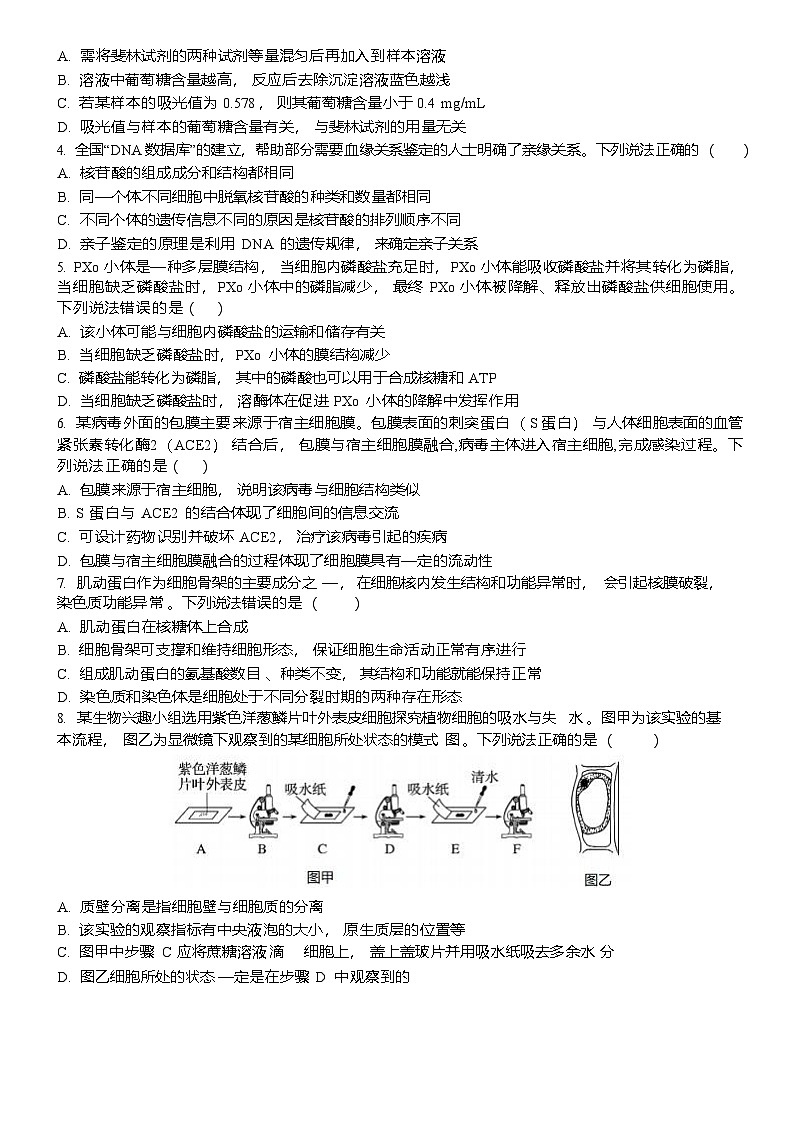 山东省泰安市第一中学（青年路校区）2025-2026学年高一上学期1月诊断性测试生物试卷第2页