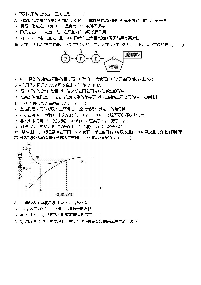山东省泰安市第一中学（青年路校区）2025-2026学年高一上学期1月诊断性测试生物试卷第3页