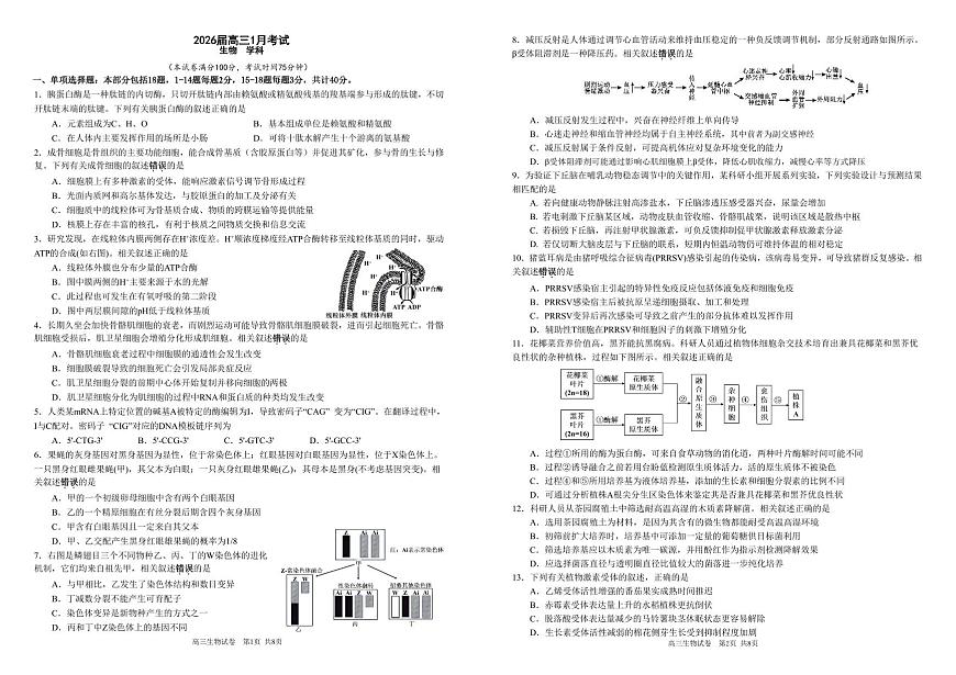生物-安徽省合肥一中2025-2026学年高三上学期1月考试试卷及答案第1页