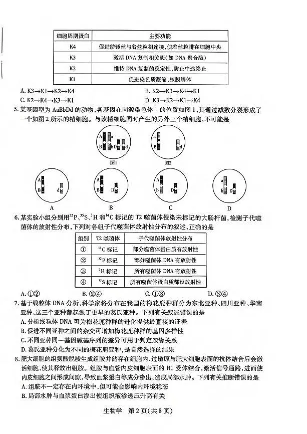 生物丨河南省新乡市、鹤壁市、安阳市、焦作市2026届高三上学期一模试卷及答案第2页