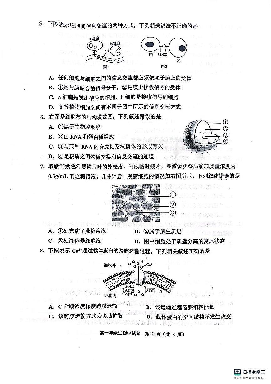 天津市河西区2024-2025学年高一上学期1月期末考试生物试卷（无答案）第2页