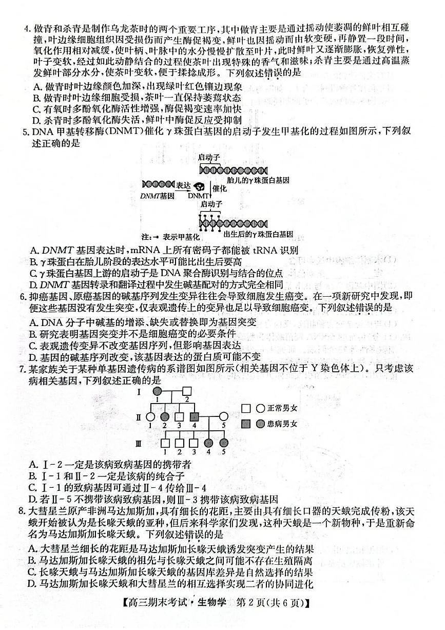酒泉市普通高中2025~2026学年度高三第一学期期末考试生物试卷+答案第2页
