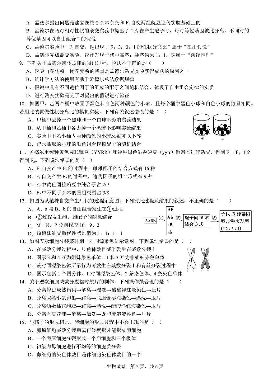 四川省南充市高级中学2024-2025学年高一下学期4月考试题生物试卷（无答案）第2页
